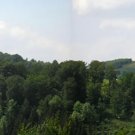 In Mielinghausen Near The Area Holiday home *