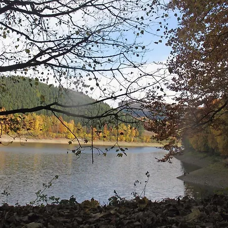 In Mielinghausen Near The Area Holiday home *