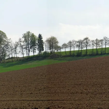 Holiday home In Mielinghausen Near The Area Reiste