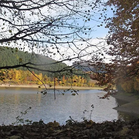 In Mielinghausen Near Area * Reiste