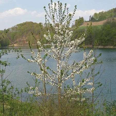 In Mielinghausen Near Area Reiste