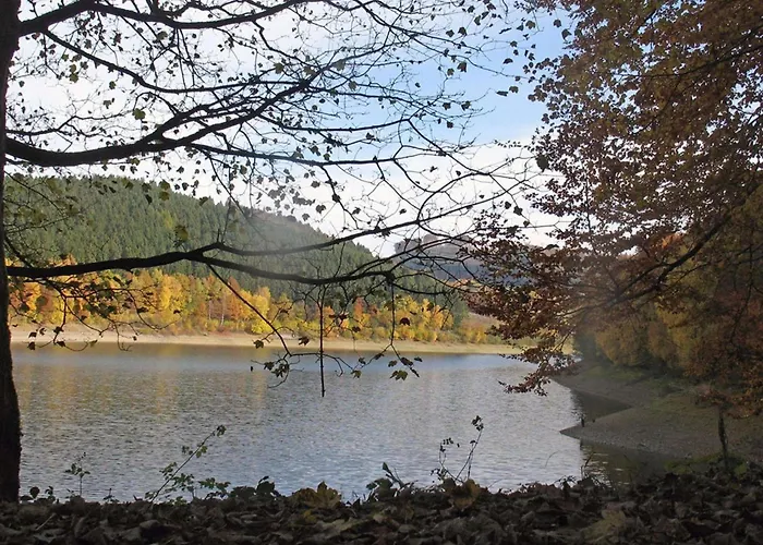 In Mielinghausen Near Area * Reiste