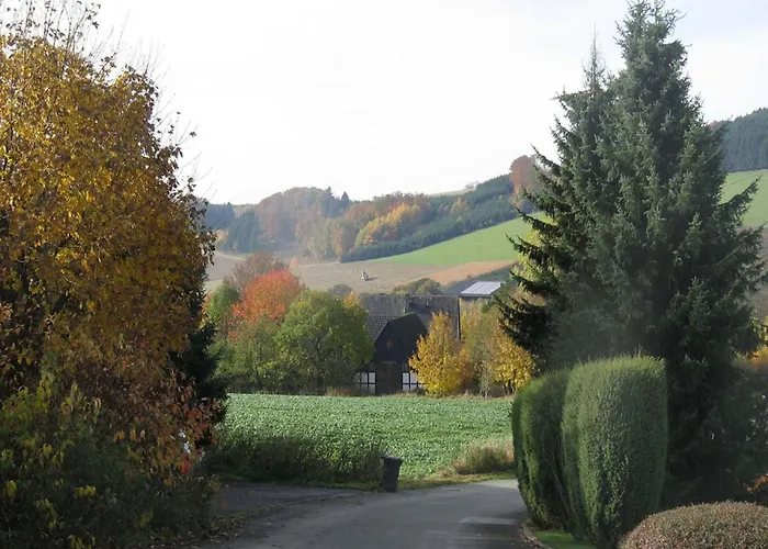 In Mielinghausen Near Area * Reiste