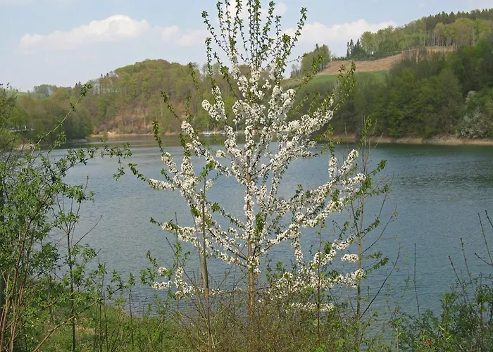 In Mielinghausen Near Area Reiste