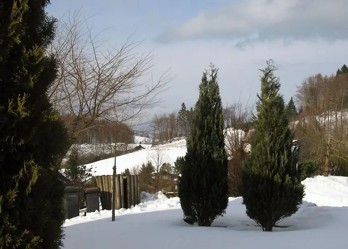 In Mielinghausen Near Area 펜션 *