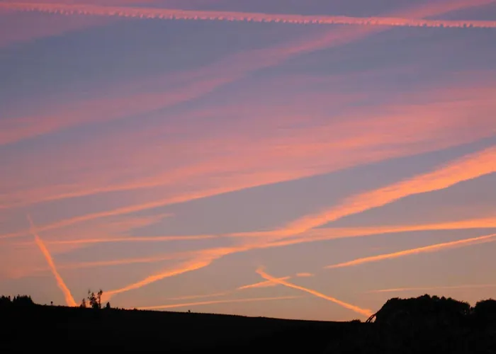 In Mielinghausen Near Area Reiste