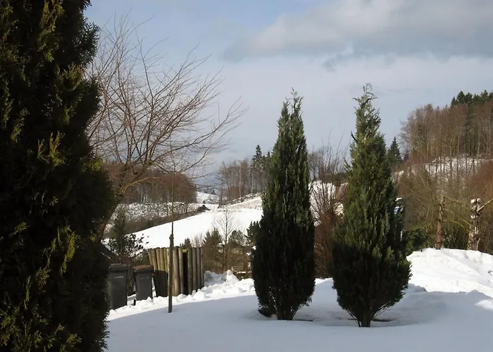 In Mielinghausen Near Area