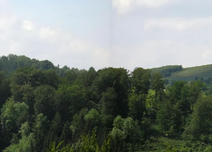 In Mielinghausen Near Area 펜션 *