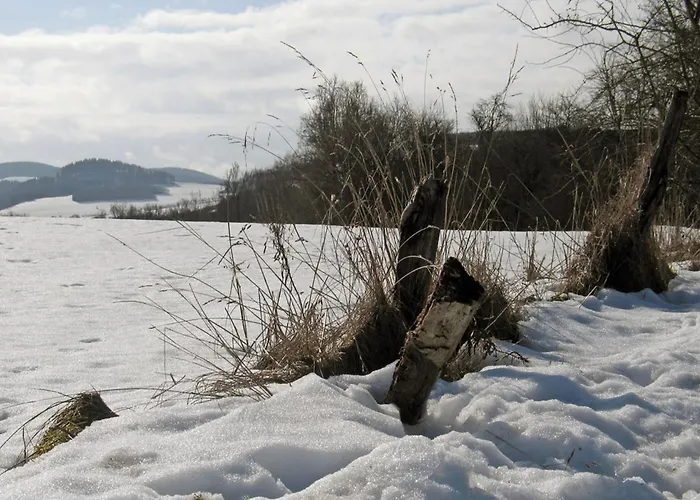 In Mielinghausen Near Area * Reiste