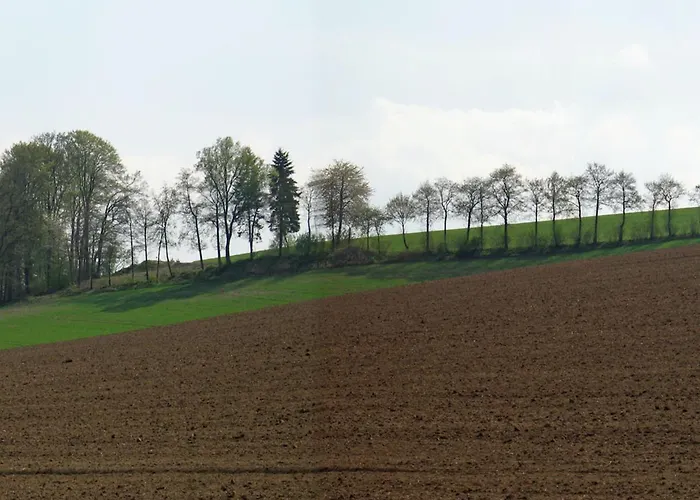 In Mielinghausen Near Area